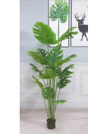 Τεχνητό Διακοσμητικό Φυτό H120cm “Monstera Tree” Etoile SD-044